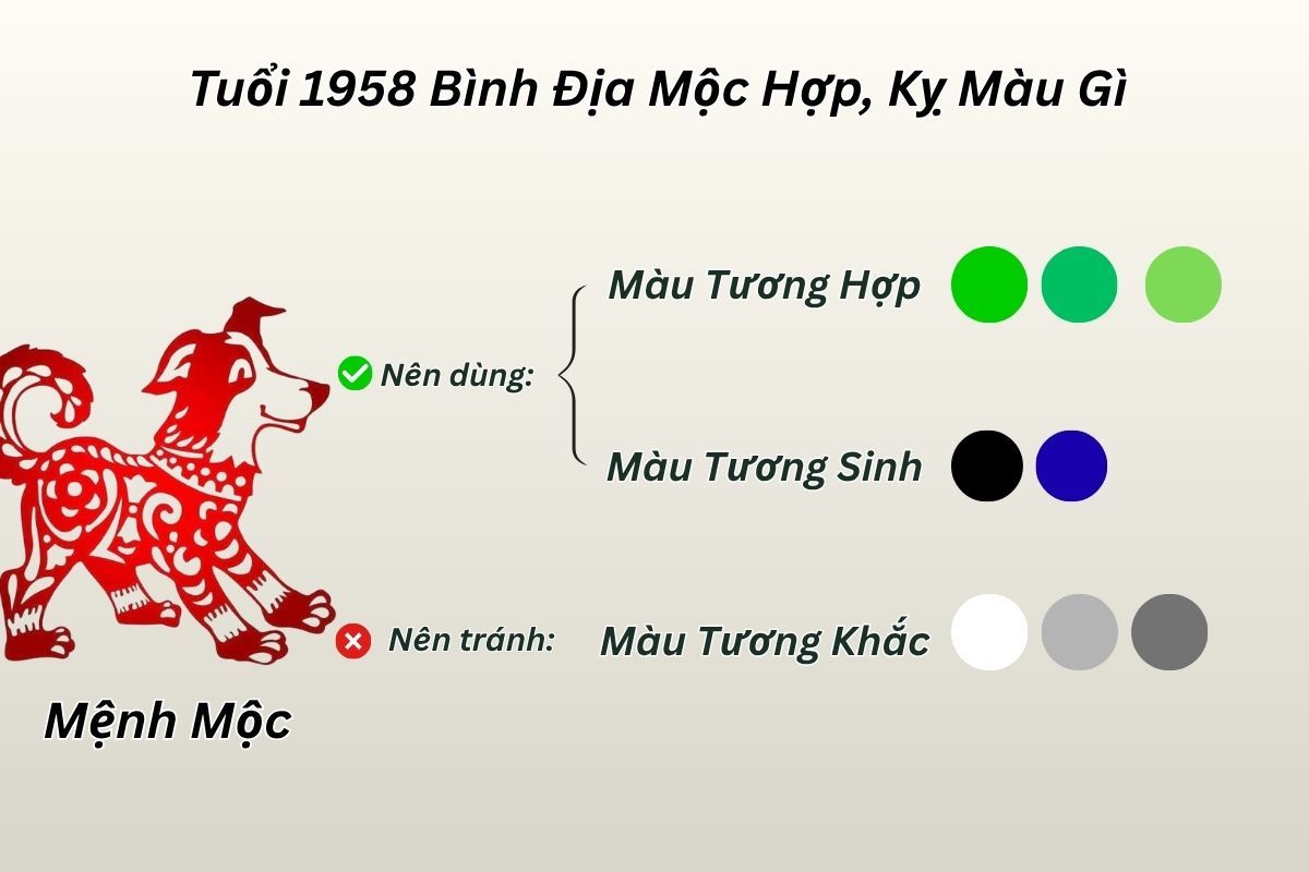 1958 hợp màu gì