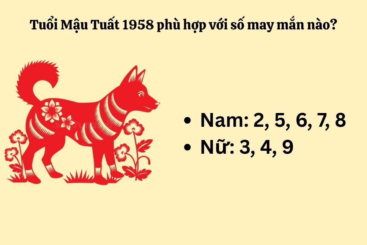 Mậu Tuất 1958 hợp với con số nào