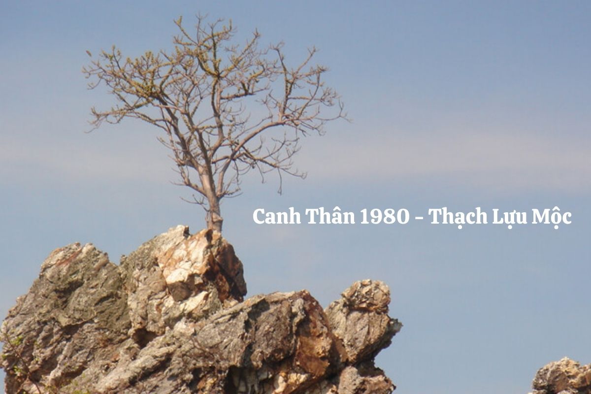 Canh Thân 1980 mệnh Thạch Lựu Mộc