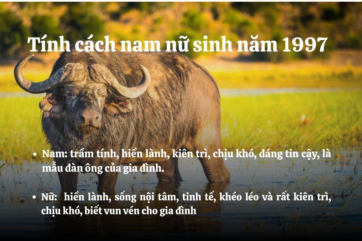 Đinh Sưu 1997 hợp và kỵ với hướng nào