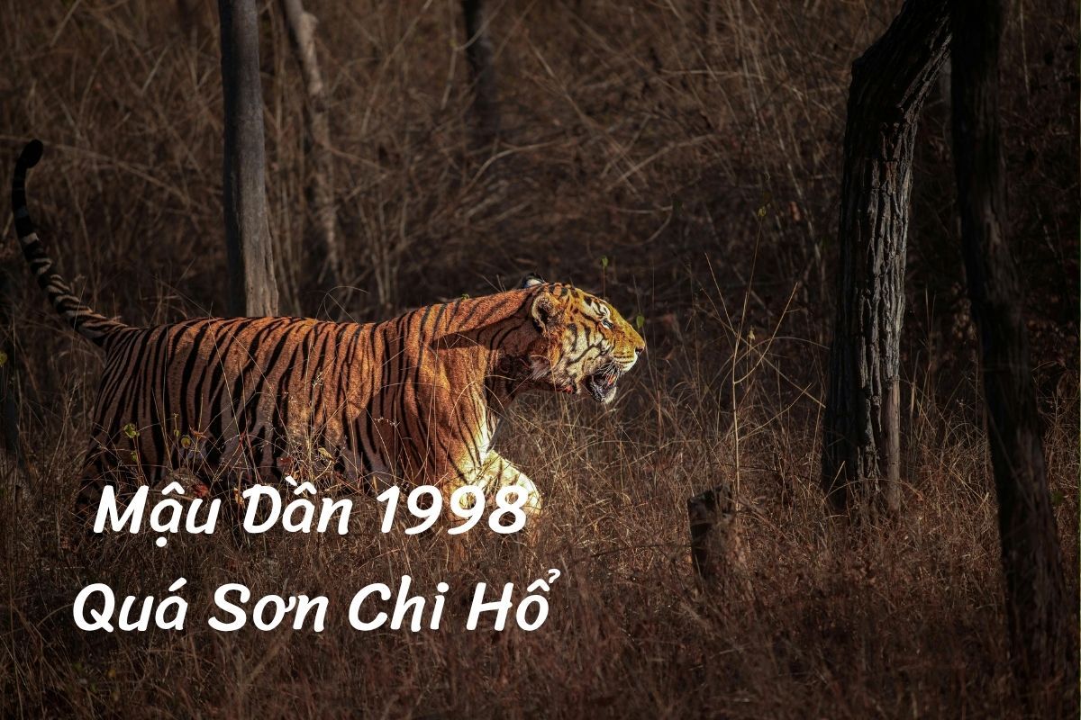 1998 tuổi Mậu Dần hay Quá Sơn Chi Hổ