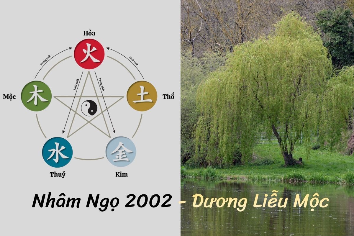 Nhâm Ngọ 2002 mệnh Mộc, Dương Liễu Mộc