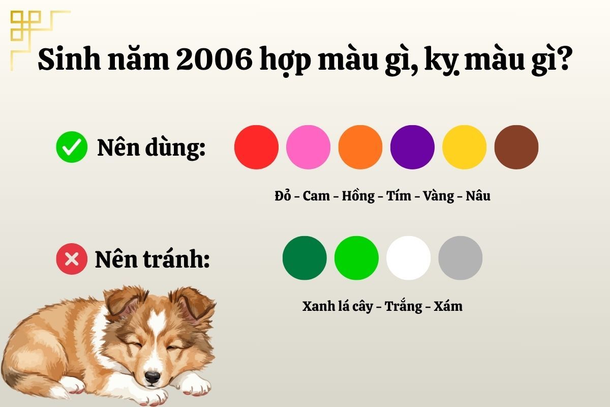 Bình Tuất 2006 hợp và kỵ với màu nào