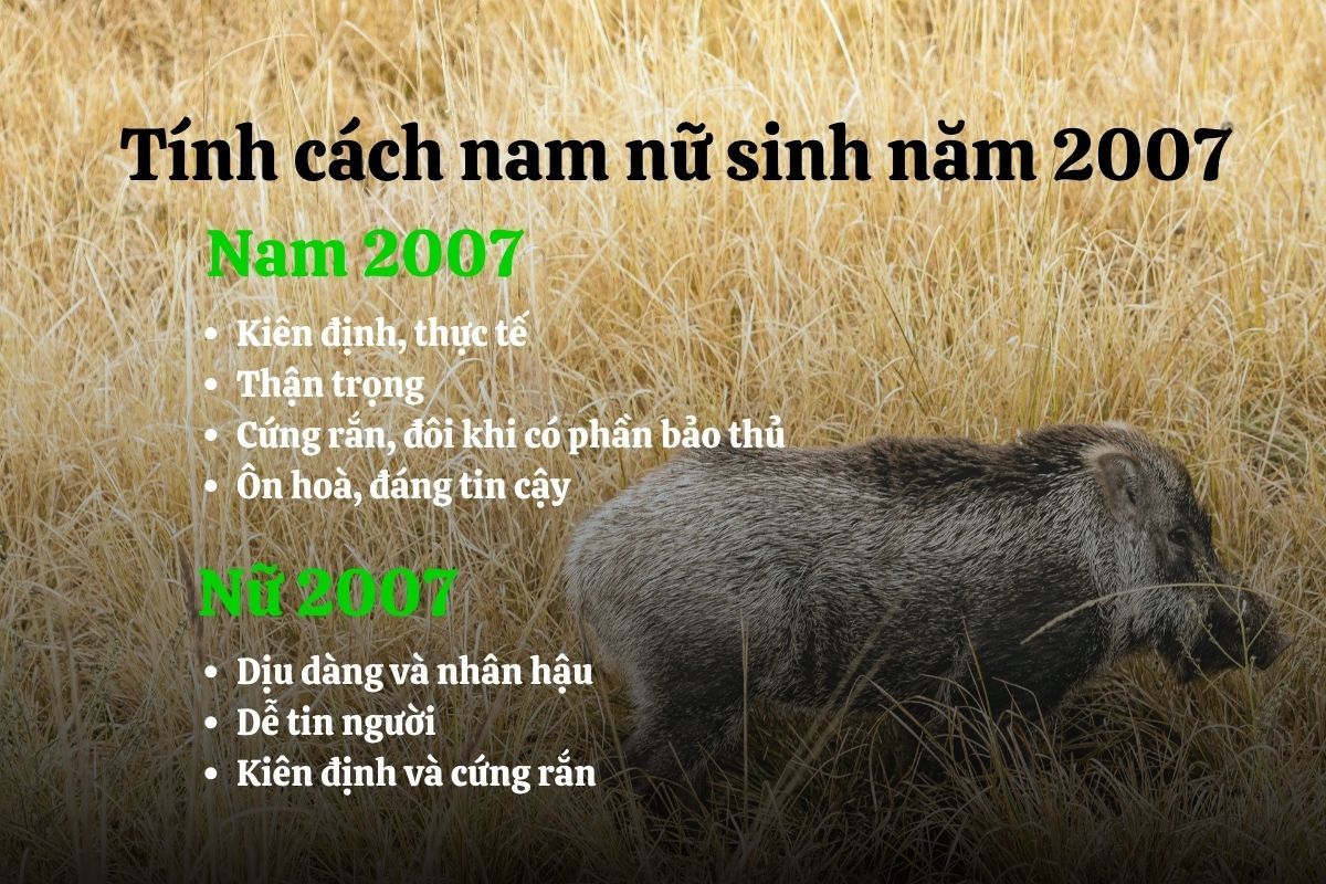 Đinh Hợi 2007 có tính cách gì