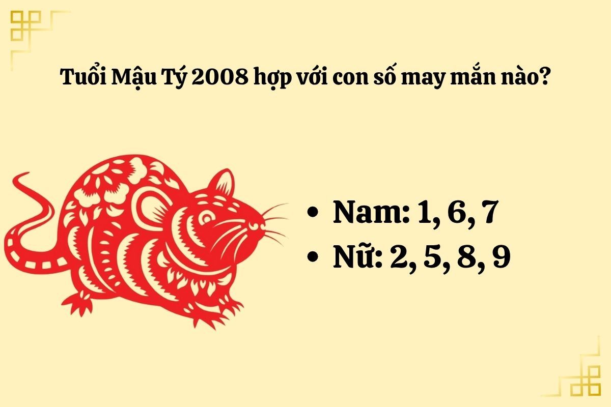 2008 Mậu Tý hợp với số mấy