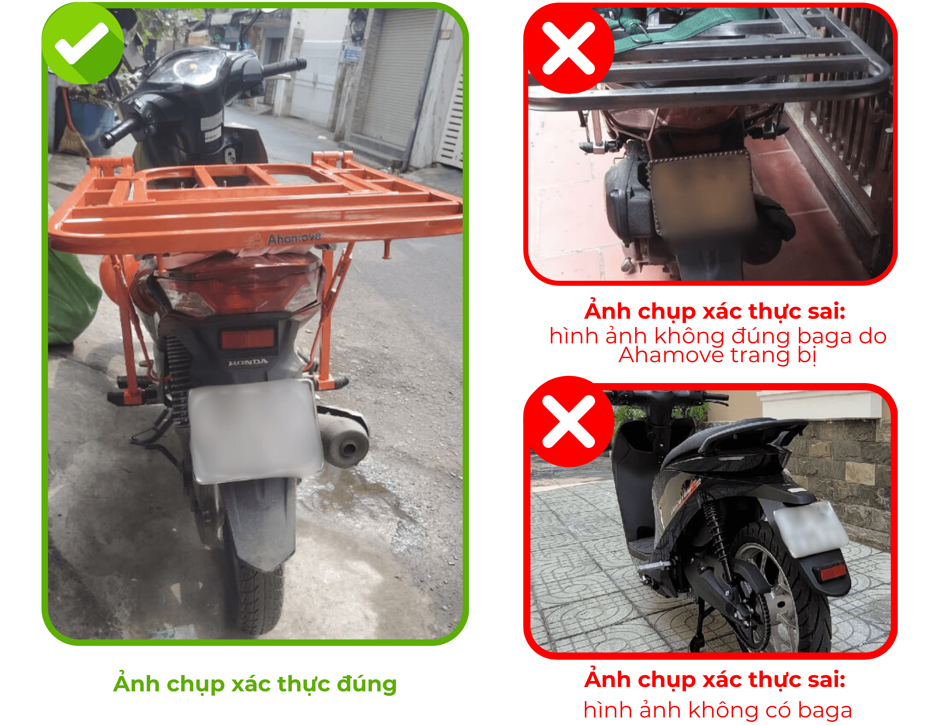 Chưa có tên (1300 x 1000 px)-2.png