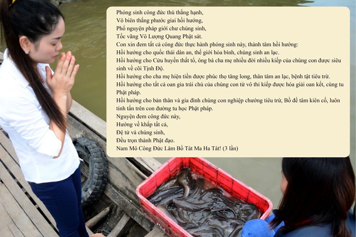 bài cúng phóng sanh