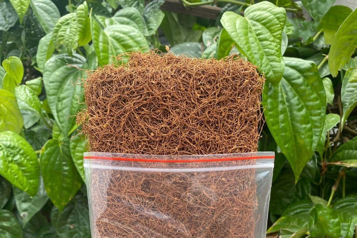 kinh doanh gì không đụng hàng 4