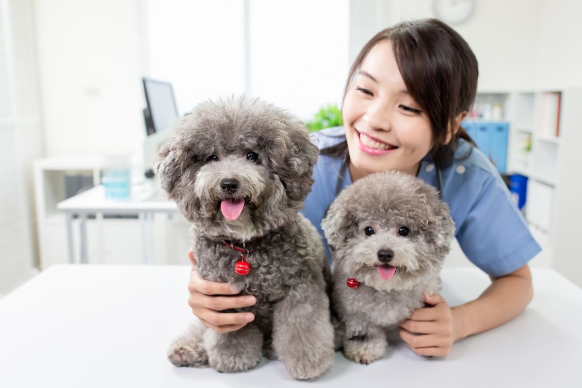 Cách kinh doanh tại nhà