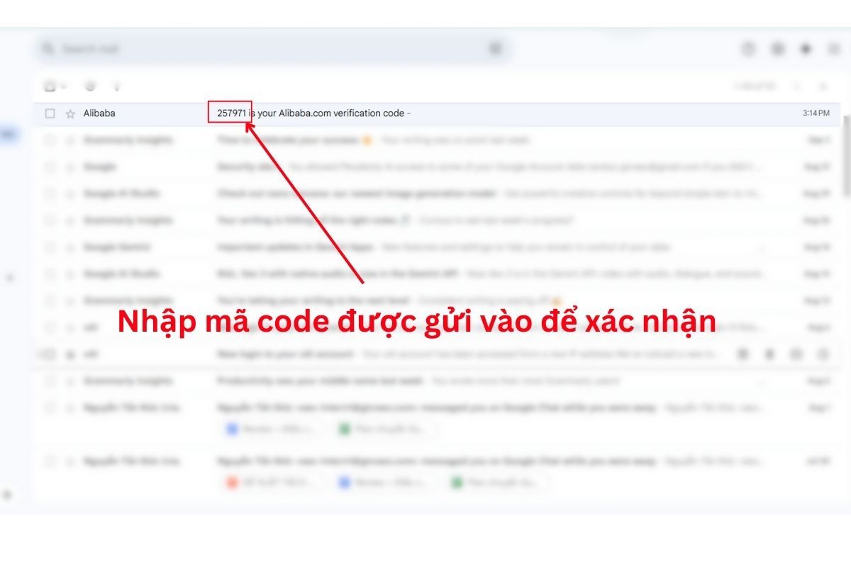Cách mua hàng trên Alibaba về Việt Nam