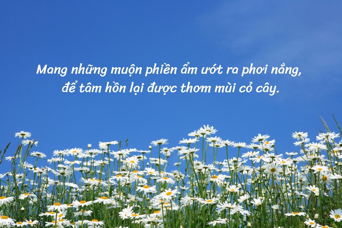 cap chữa lành nhẹ nhàng