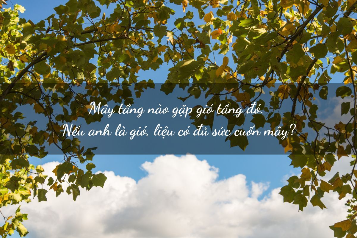 stt thả thính sang chảnh