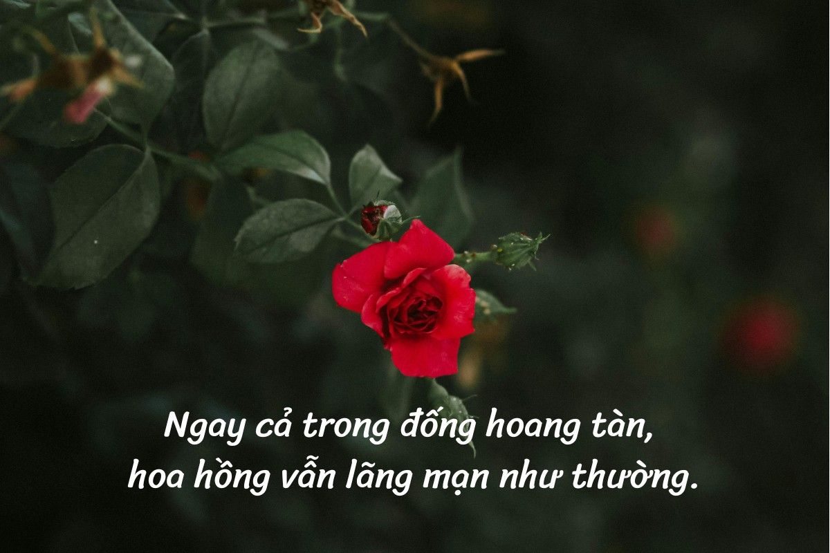 caption chữa lành cuộc sống