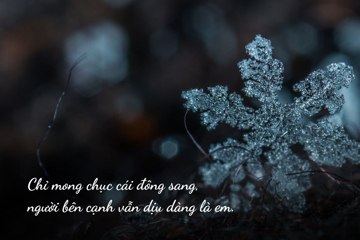 caption mùa đông
