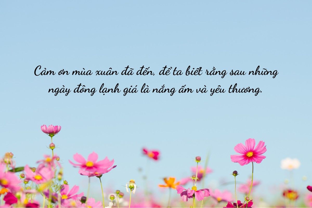 câu nói hay về mùa xuân