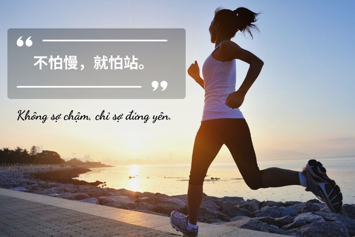 câu nói về sự cố gắng