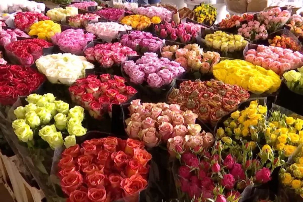 chợ bàn cờ đồ si