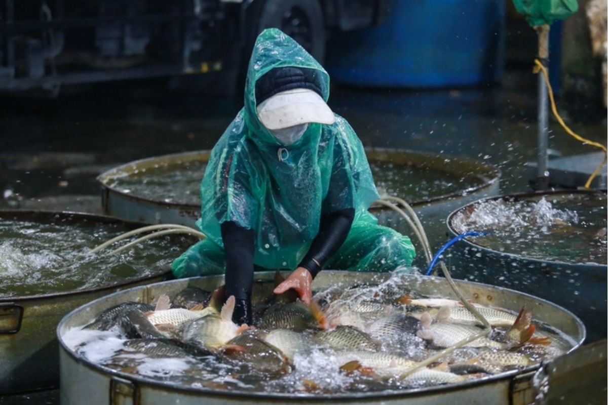 chợ cá yên sở bán gì