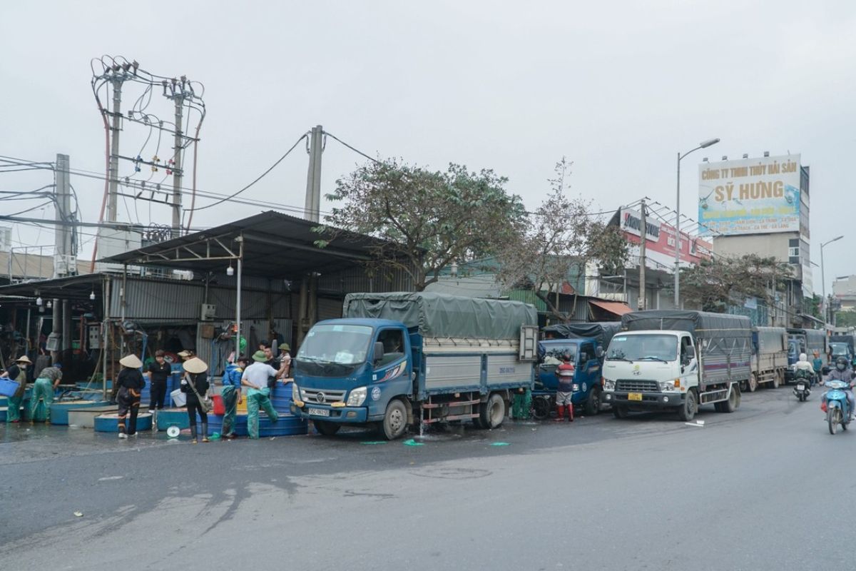 chợ cá yên sở hoạt động lúc mấy giờ