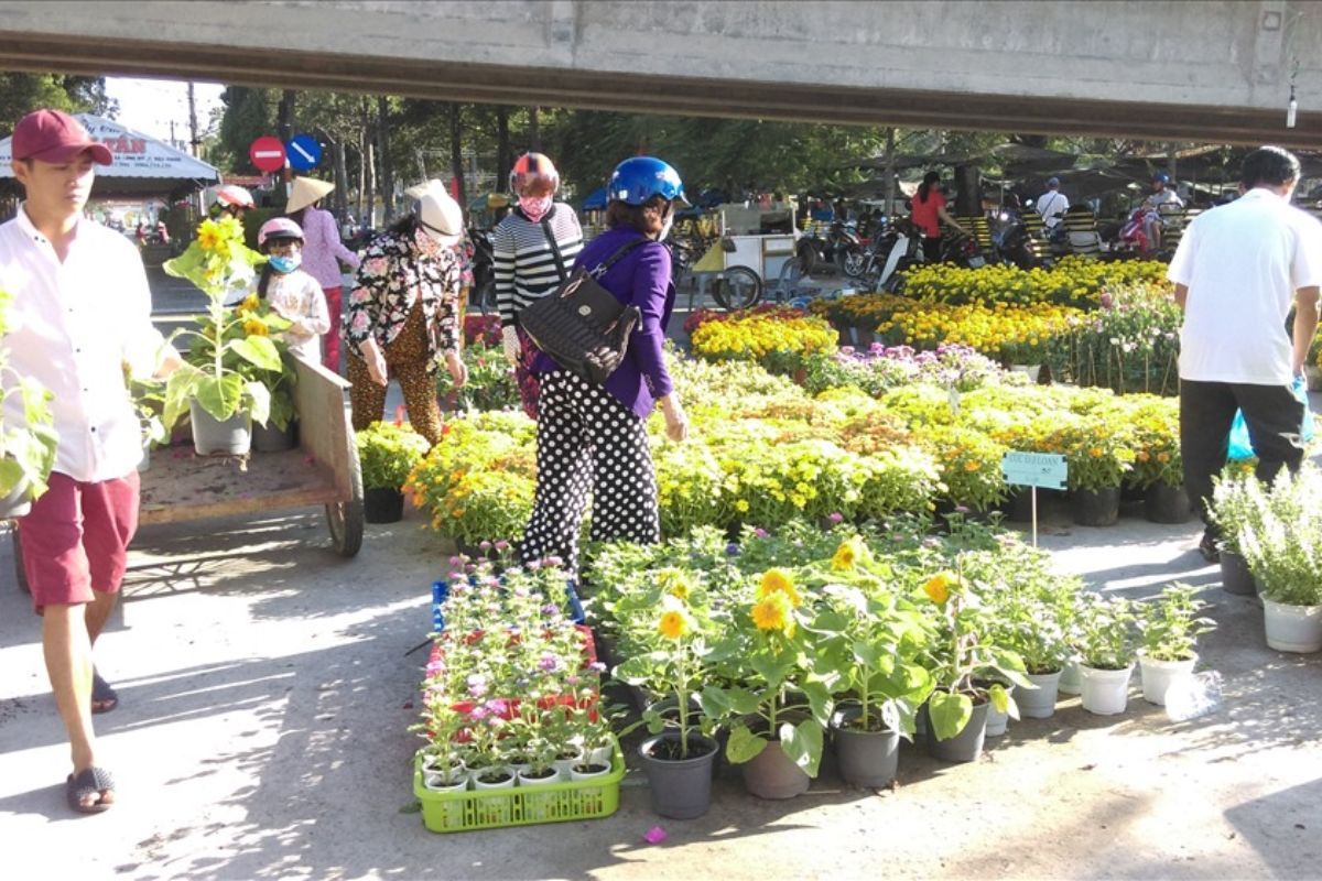 chợ hoa tươi hậu giang