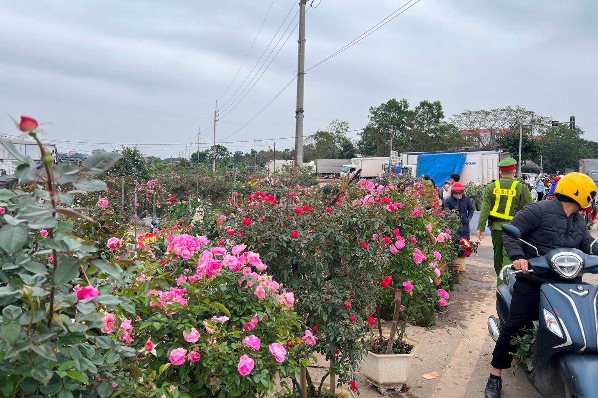 chợ hoa mê linh hà nội bán gì