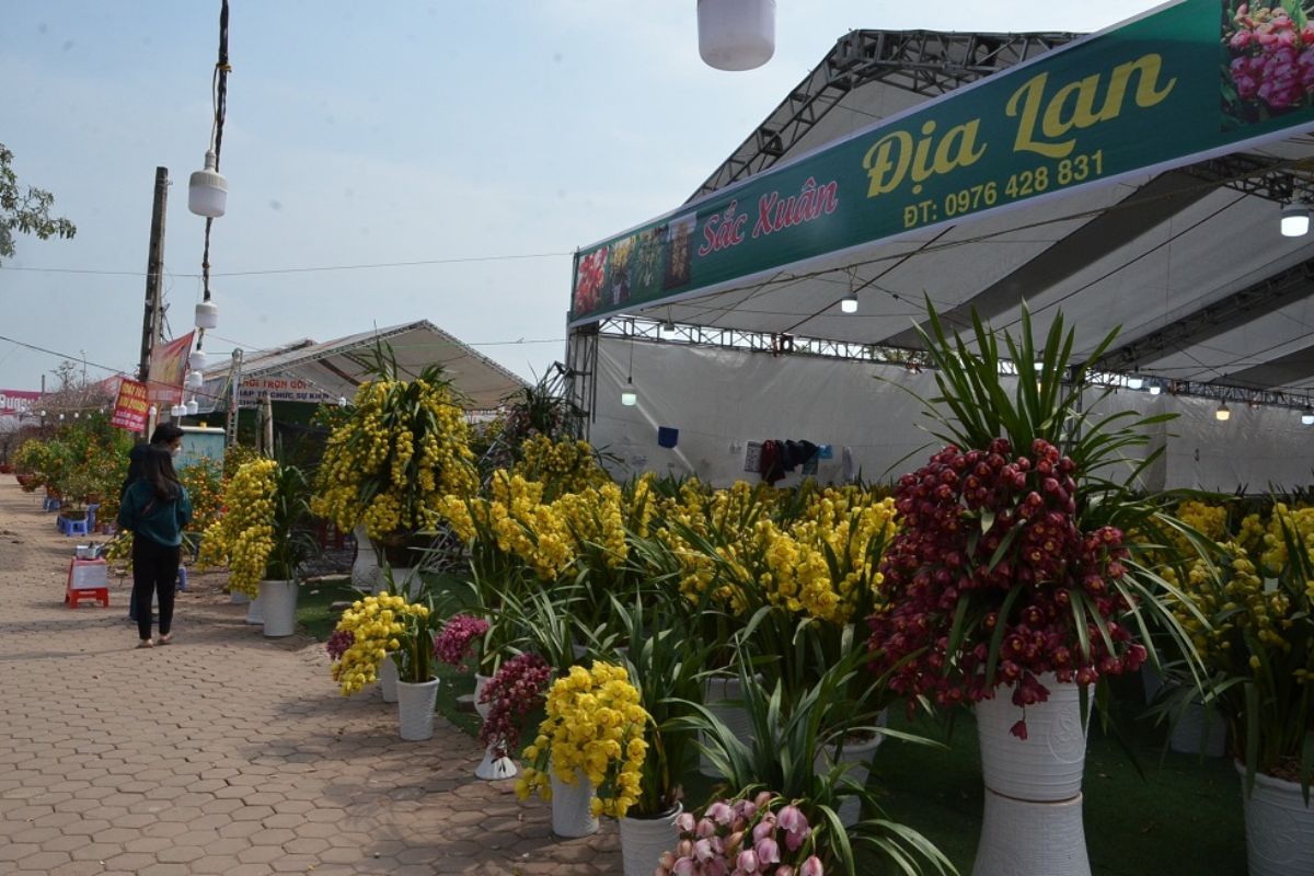 chợ hoa long biên