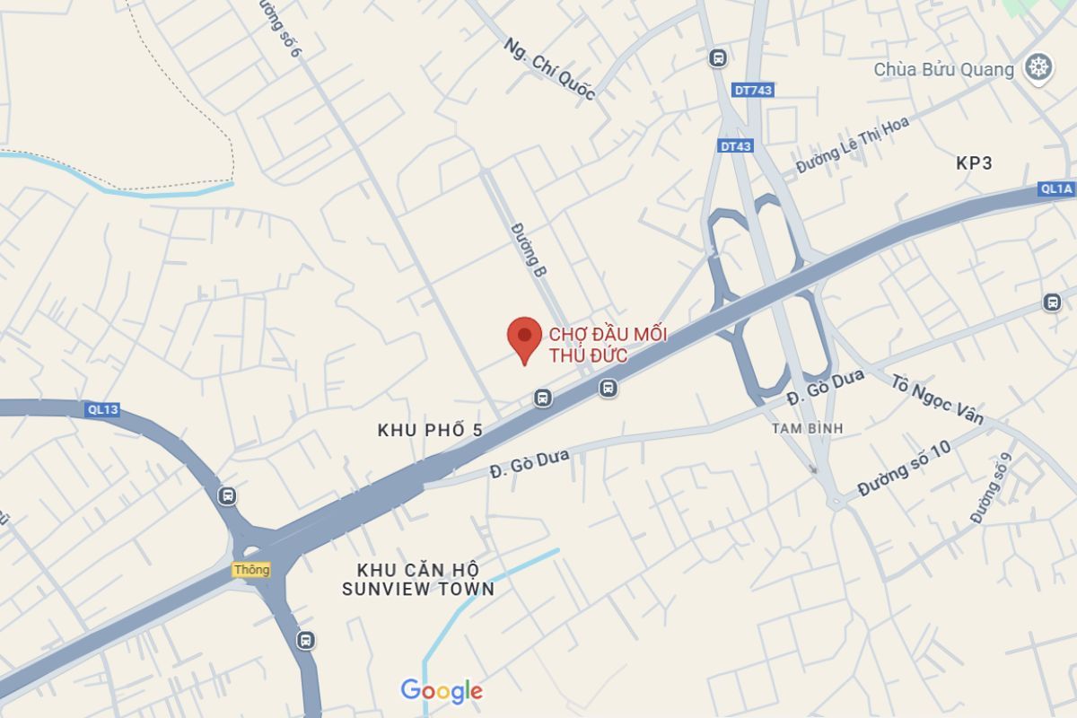 chợ thủ đức ở đâu