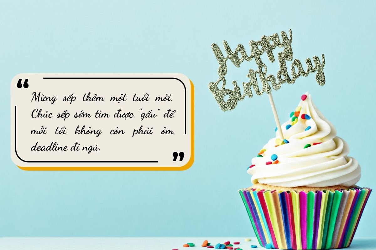 chúc mừng sinh nhật sếp hài hước