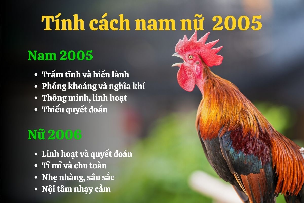 Tính cách nam và nữ Ất Dậu 2005