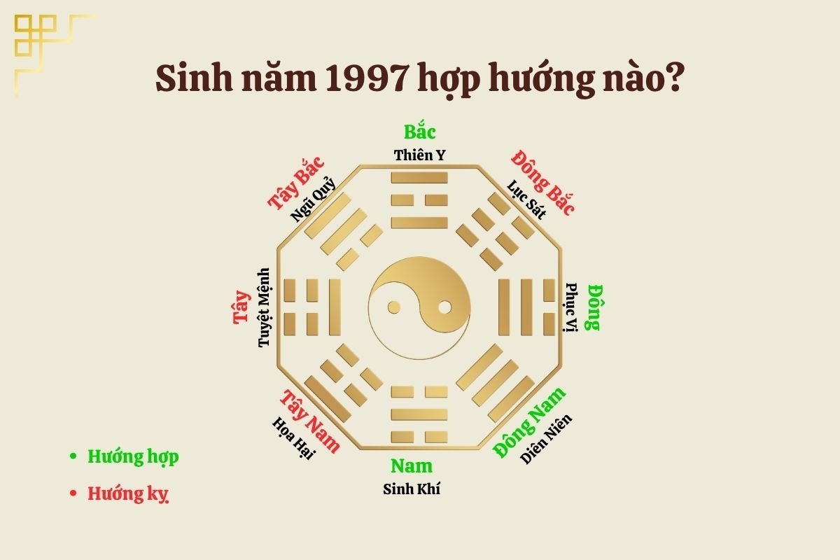 Đinh Sưu 1997 hợp và kỵ với hướng nào