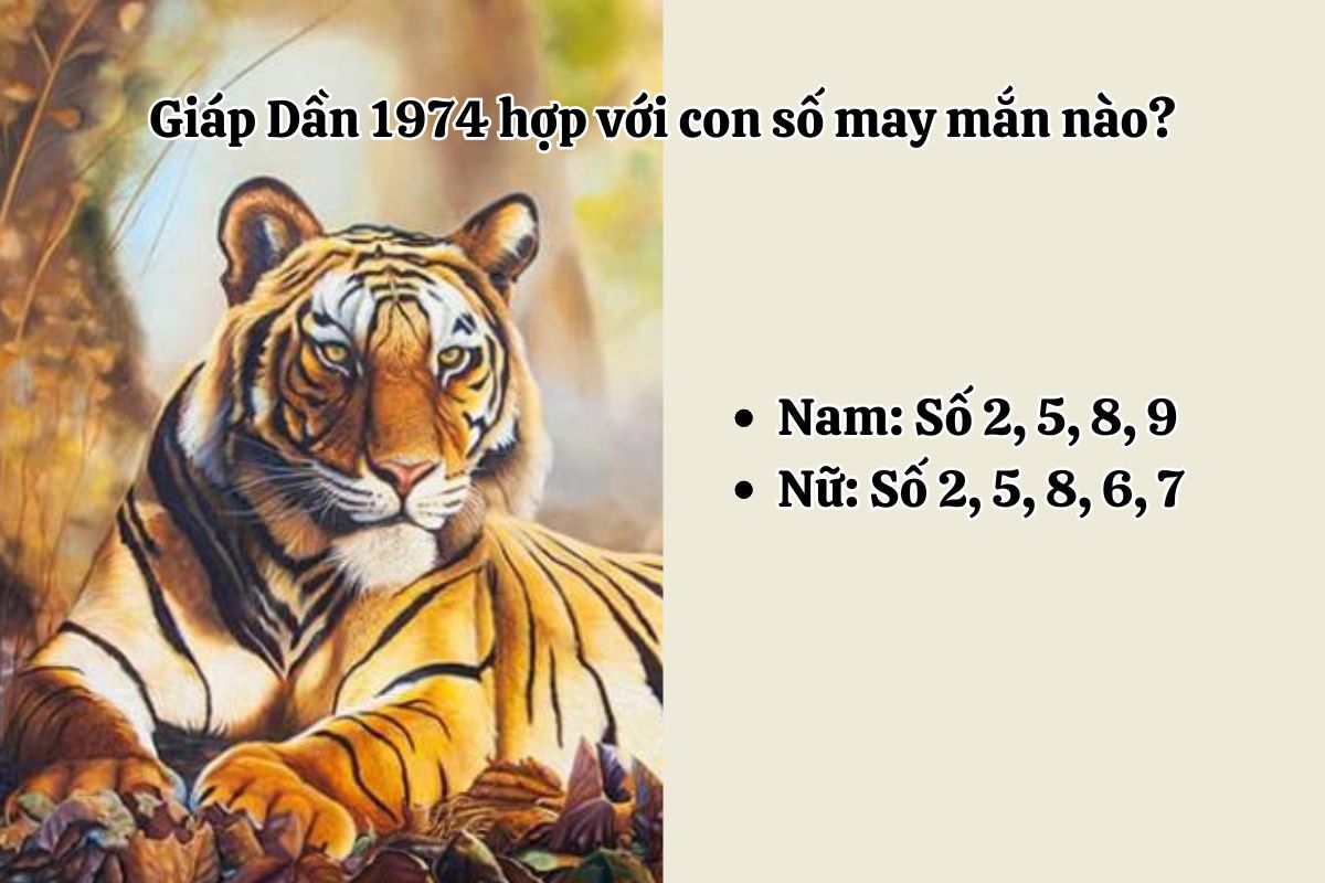 Các số hợp mệnh với nam nữ 1974 Giáp Dần