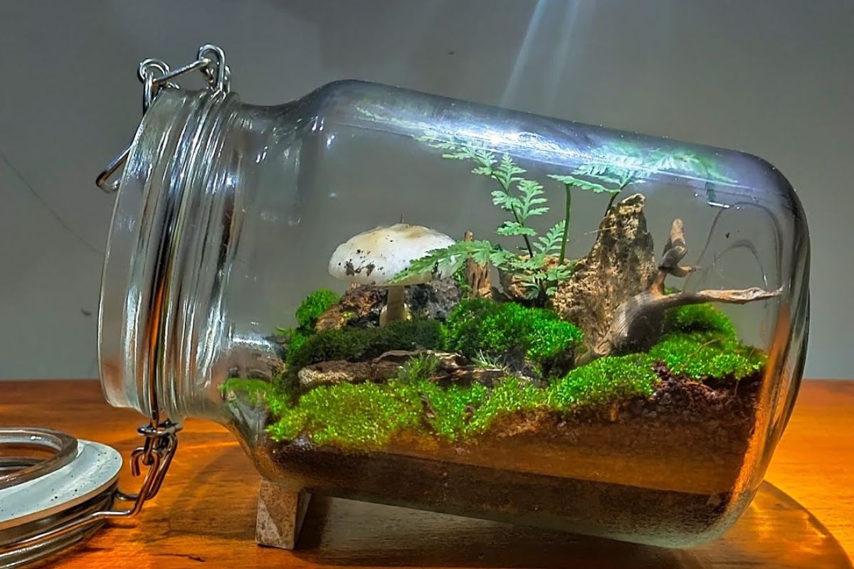 Kinh doanh gì ở Sài Gòn 4