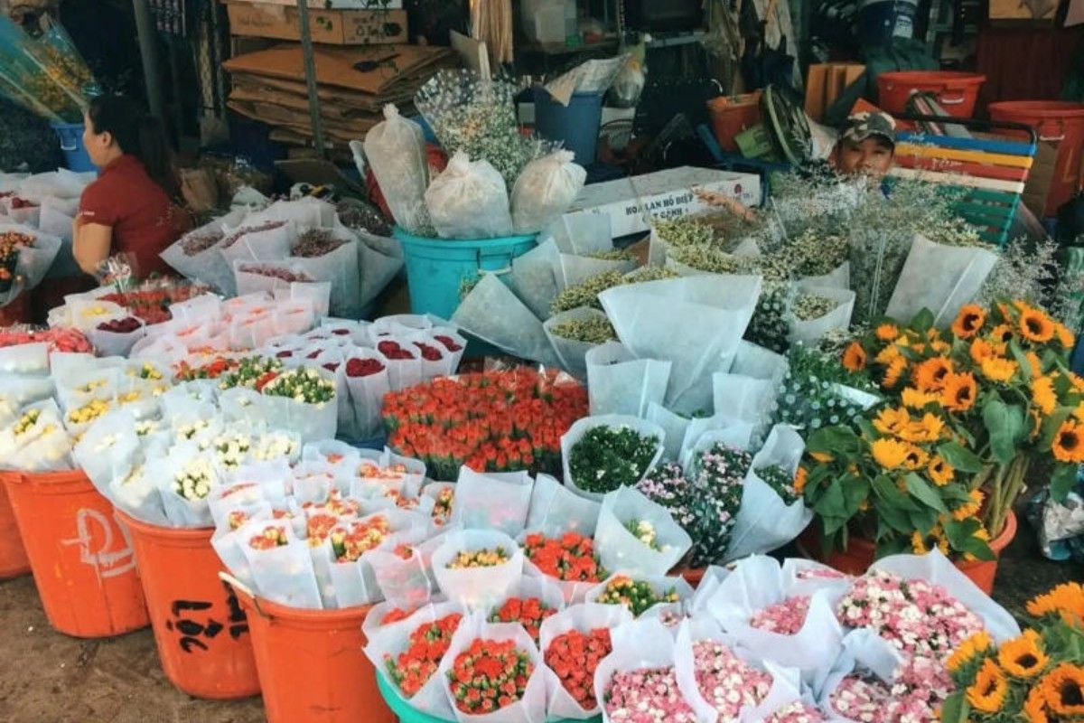 lấy sỉ hoa ở đâu