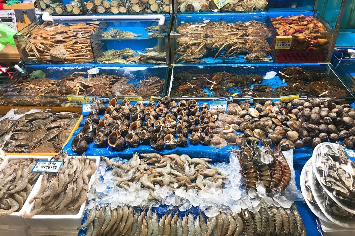 Mô hình kinh doanh hải sản tươi sống