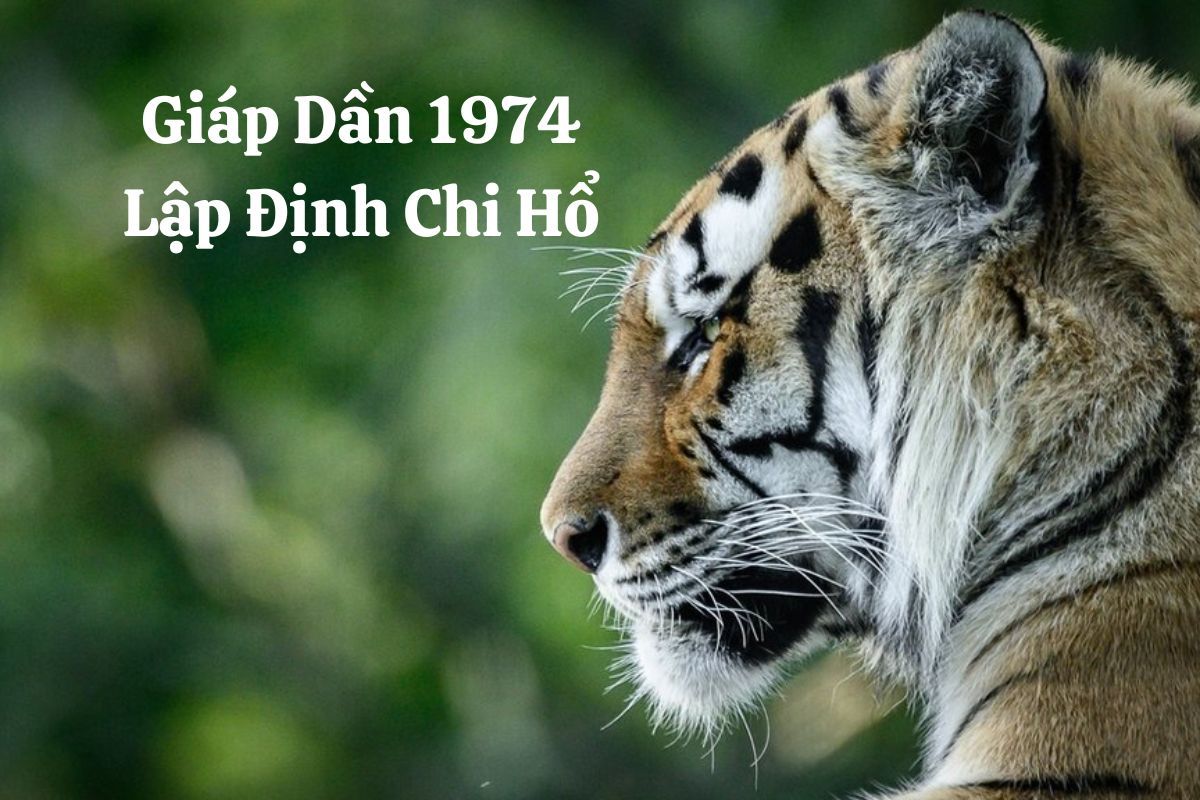 Sinh năm 1974 tuổi Giáp Dần, Lập Định Chi Hổ