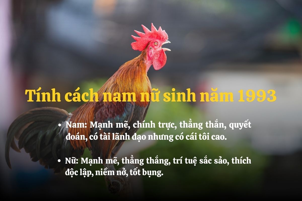 Tính cách người sinh năm 1993