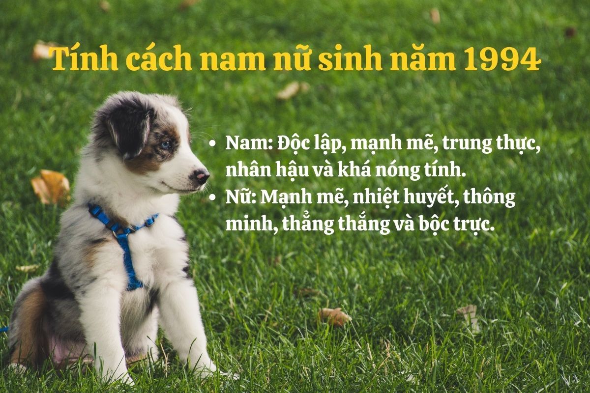 Tính cách người sinh năm 1994