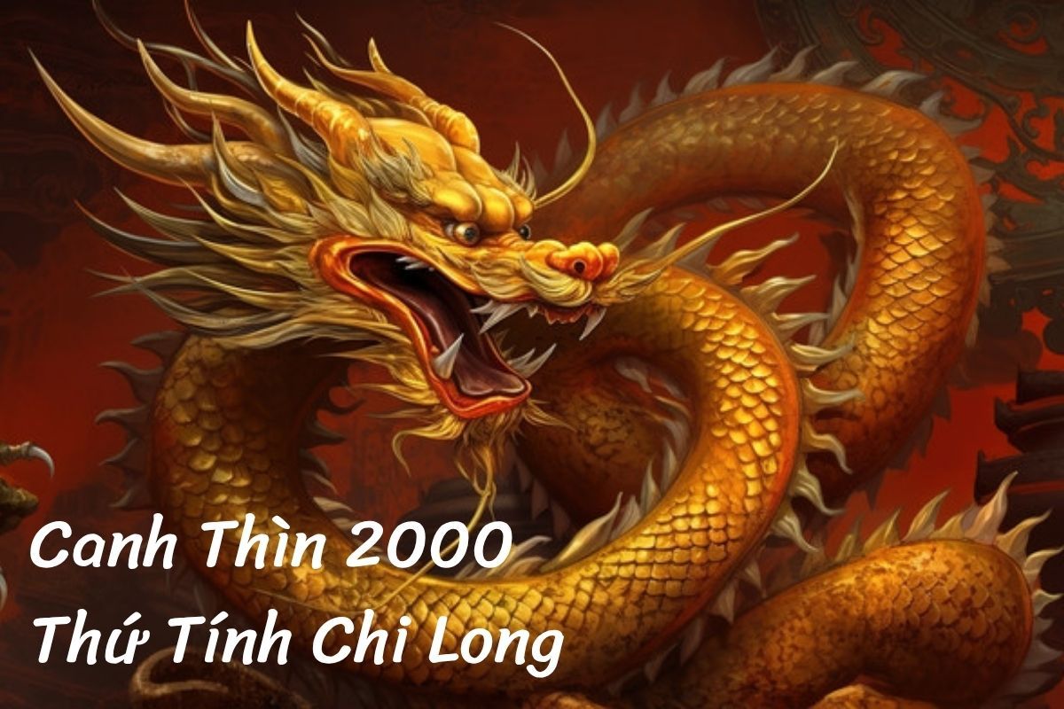 sinh năm 2000 mang tuổi Nhâm Thìn