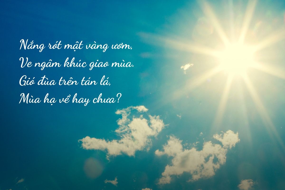 những câu nói mùa hè