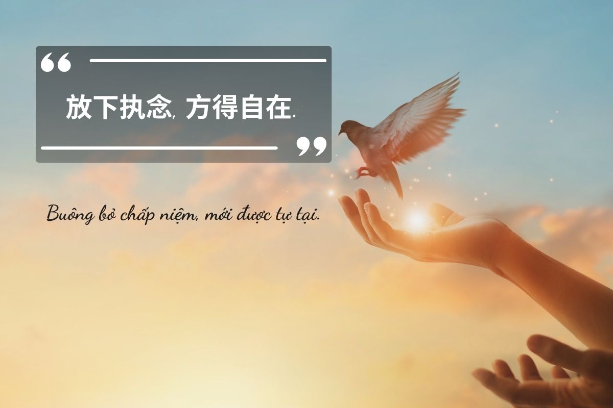 những stt buông bỏ