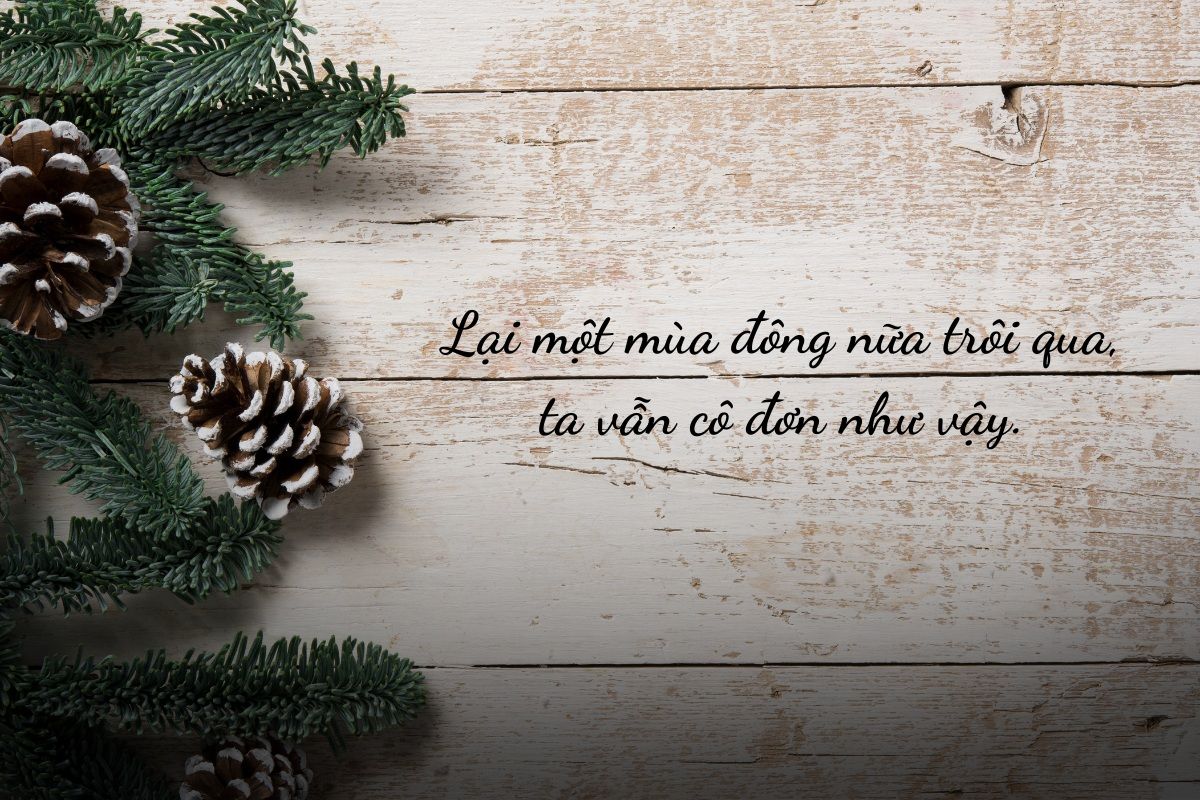những stt hay về mùa đông