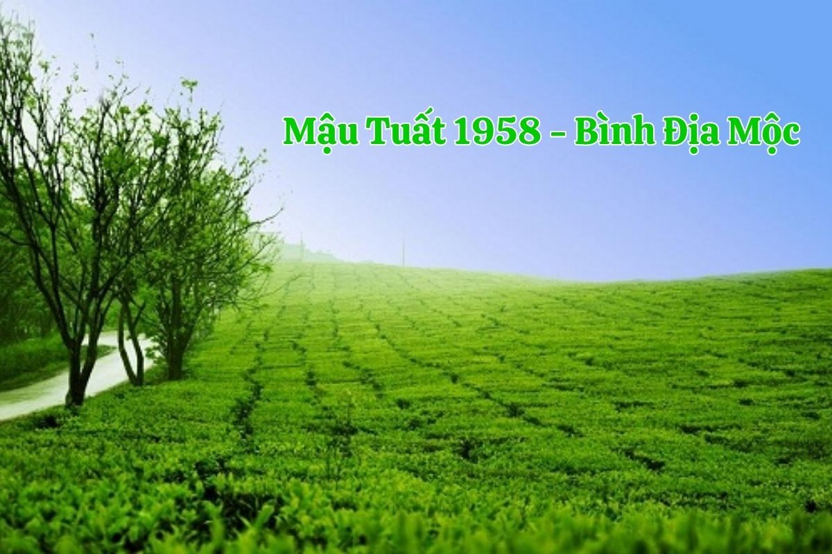 sinh năm 1958 thuộc mệnh gì