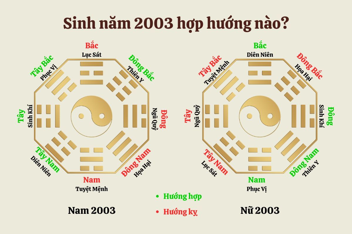Quý Mùi 2003 hợp và kỵ với hướng nào