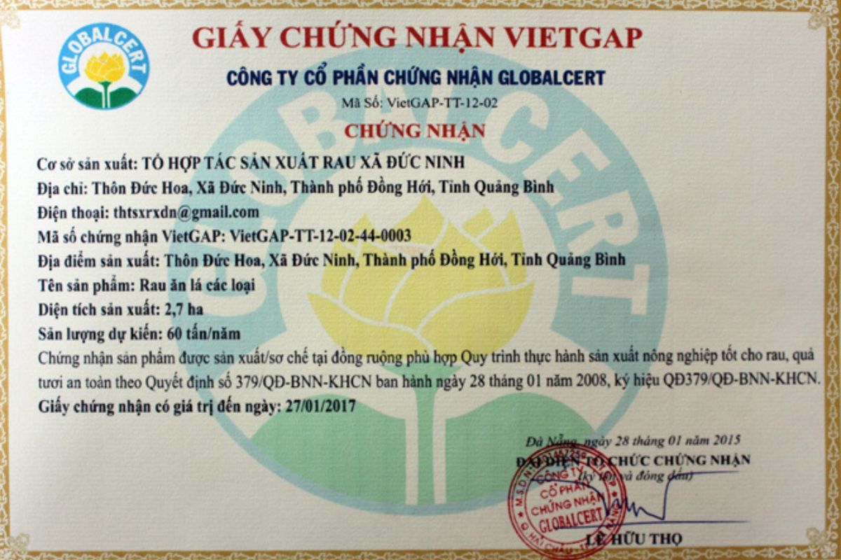 Quy trình mở cửa hàng rau sạch