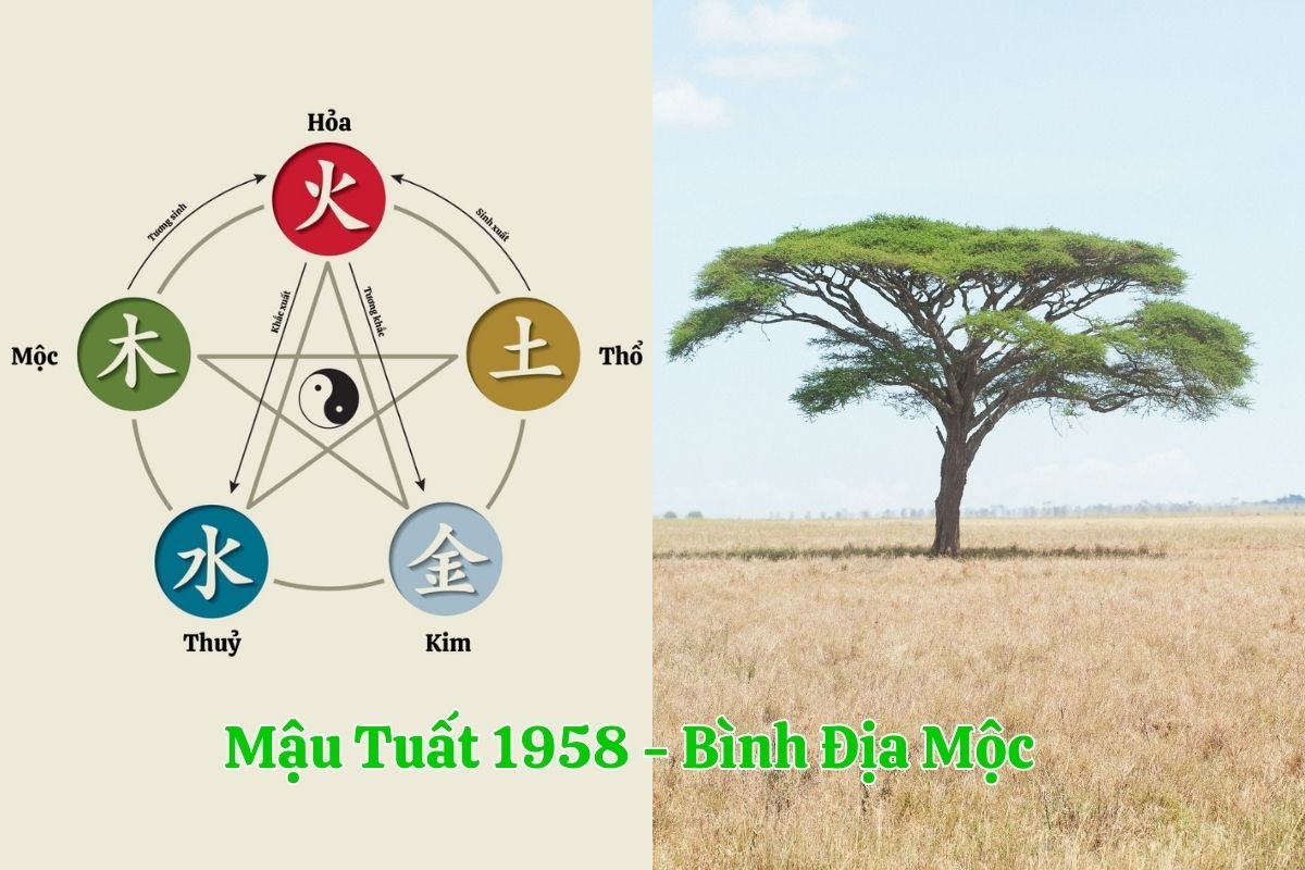 Sinh năm 1958 mệnh Mộc, nạp âm Bình Địa Mộc