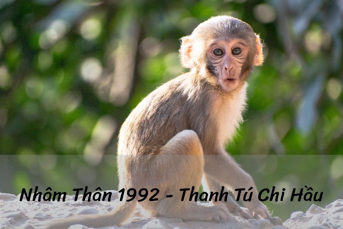 sinh năm 1992 tuổi Nhâm Thân Thân Tú Chi Hầu
