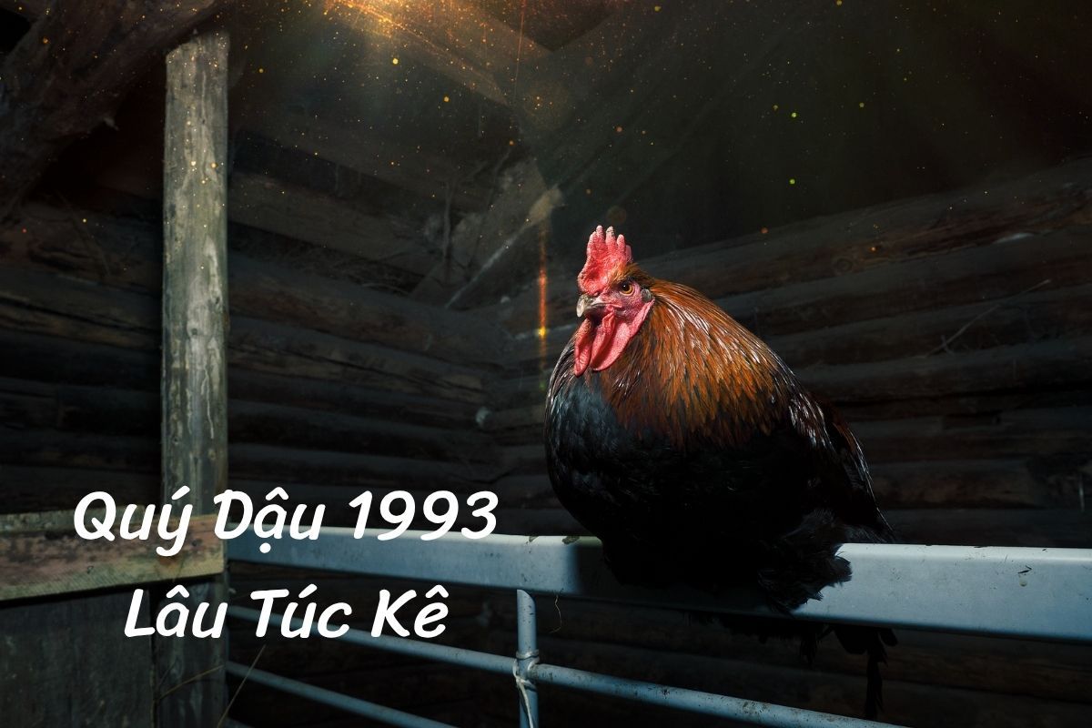 sinh năm 1993 tuổi Quý Dậu Lâu Túc Kê