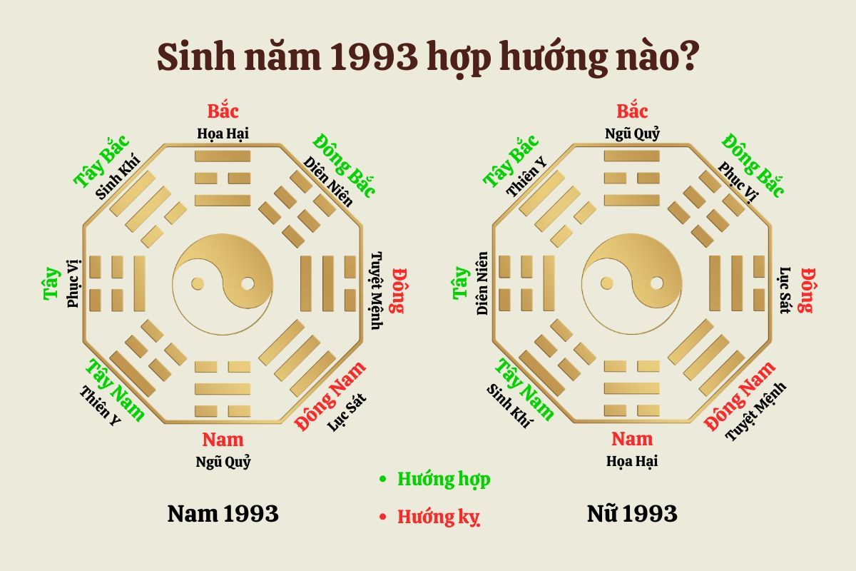 Sinh năm 1993 hợp với hướng nào