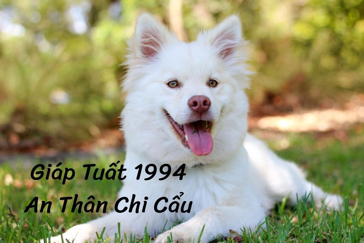 Giáp Tuất 1994 Ân Thân Chi Cẩu