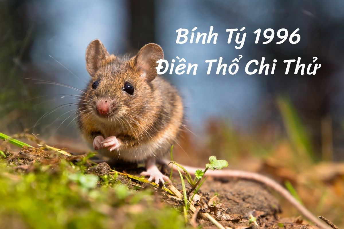 Sinh năm 1996 tuổi Bính Tý hay Điền Thổ Chi Thử